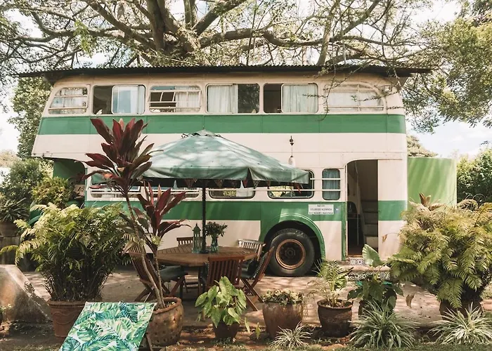 The Brandy Bus, Glamping In A Quiet Paradise